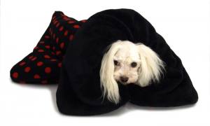 Schlafsack ,Decke ,Spielplatz für Hunde RED DOTS