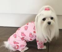 Hunde-Pyjama oder Operations Bod...