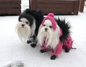 *LAHTI * Wintermantel GIRLS ONLY mit GESCHIRR kurze Beine RESTPOSTEN