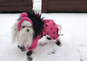 *LAHTI * Wintermantel GIRLS ONLY mit GESCHIRR kurze Beine RESTPOSTEN