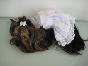 Hunde Party Kleid MADELINE