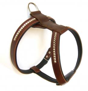 Rindleder Hunde Geschirr BULL 68-78 cm Brustumfang