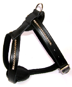 Rindleder Hunde Geschirr  BULL  72-86 cm Brustumfang
