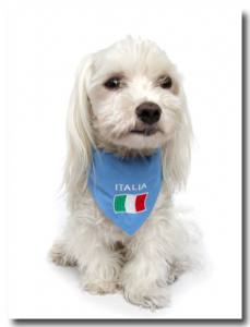 Hundehalstuch  ITALIA