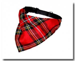 Halstuch/Halsband 2 in 1`` Schottenkaro``