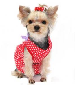 Softgeschirr * Red & White * Dots