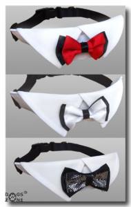 Hundefliege mit Kragen und Halsband WHITE CLASSIC