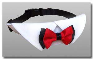 Hundefliege mit Kragen und Halsband WHITE CLASSIC