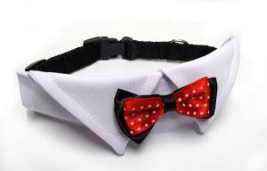 Hundefliege mit Kragen und Halsband WHITE CLASSIC