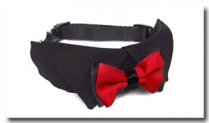 Hundefliege mit Kragen und Halsband BLACK CLASSIC