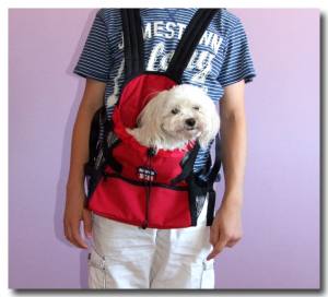 Hunde Rucksack **DOG BAG**RED