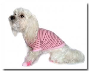 Socken für Hunde PINK Gr. XL