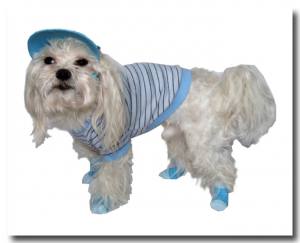 Socken für Hunde BLUE