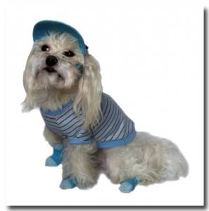 Socken für Hunde BLUE