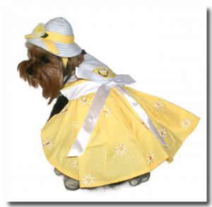 * LISA * Hundekleidchen YELLOW FLOWER