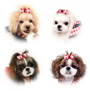 Hunde Schleife für besondere Anlässe Malteser,Shitzu RED-WHITE
