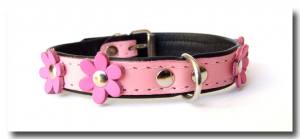 Lederhalsband FLOWER Gr.1 RESTPOSTEN