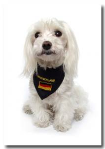 Hundehalstuch DEUTSCHLAND