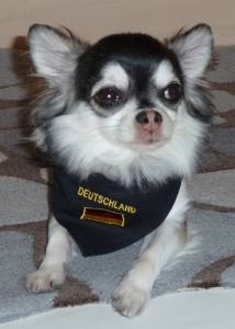 Hundehalstuch DEUTSCHLAND