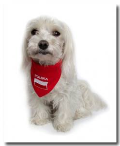 Hundehalstuch POLSKA / POLEN
