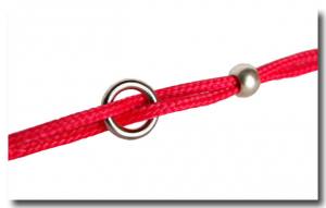 LEDER Ausstellungsleine,Showleine  ROT