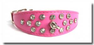 Hunde Lederhalband FLASH Gr.1