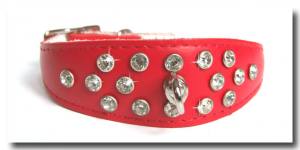 Hunde Lederhalband FLASH Gr.1