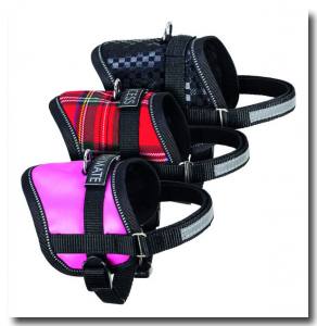 Softgeschirr mit HUNDENAME SCHOTTE