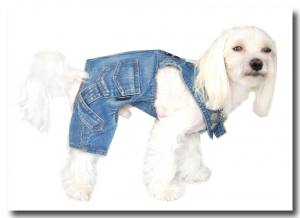 Jeanshosen LITTLE JUMPER