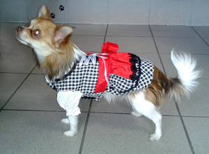 Drindl für den Hund zum Oktoberfest in schwarz karo RESTPOSTEN