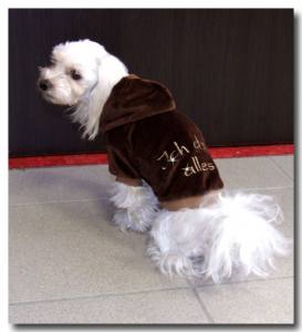 Jogger ,Pullover für Hunde DogsZone * ICH DARF ALLES *Restposten