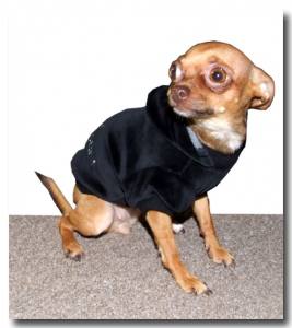 Jogger ,Pullover für Hunde DogsZone * KNUTSCHKUGEL *Restposten