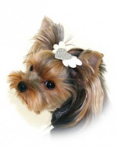 Hunde Spange FLY HEART