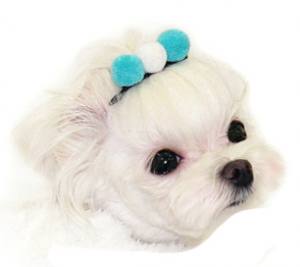 Hunde Spange KUGEL WHITE -BLUE