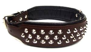 Lederhalsband   BIG DOG mit NIETEN Gr.4