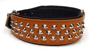 Lederhalsband   BIG DOG mit NIETEN Gr.4