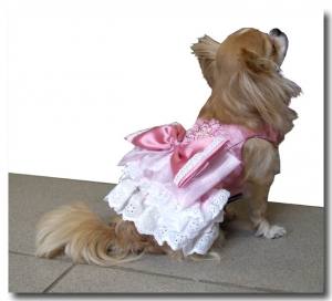Hunde Party,Fest Kleid BEAUTY CHANTALLE