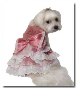Hunde Party,Fest Kleid BEAUTY CHANTALLE