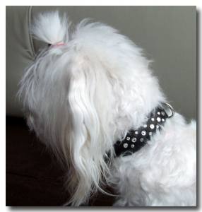 LUXUS Lederhalsband Ziegenleder mit Strass BLACK EXTREM WEICH