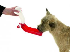 Reise Trinkflasche für Hunde Inh.500 ml