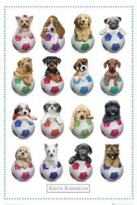 Keith Kimberlin - Football dogs Hunde Poster