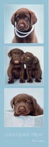 Rachael Hale (Chocolate Treat)  Hunde Poster