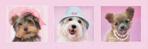 Rachael Hale (Canine Cuties)  Hunde Poster