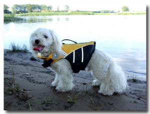 Schwimmweste für den Hund YELLOW
