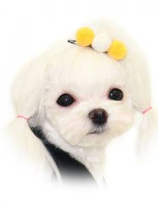 Hunde Spange KUGEL YELLOW-WHITE