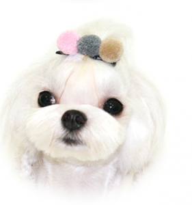 Hunde Spange KUGEL PINK - GREY -BEIGE