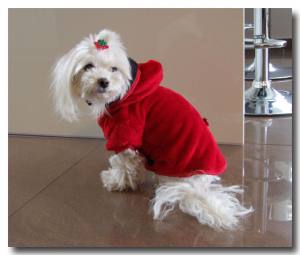Doppelseitiger Hunde Bademantel BELLA