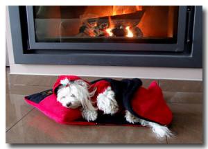 Doppelseitiger Hunde Bademantel BELLA
