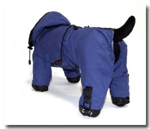 MINI PORTHOS  Wintermantel für Hunde RESTPOSTEN