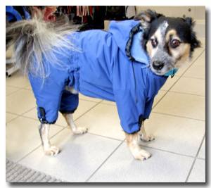 MINI PORTHOS  Wintermantel für Hunde RESTPOSTEN